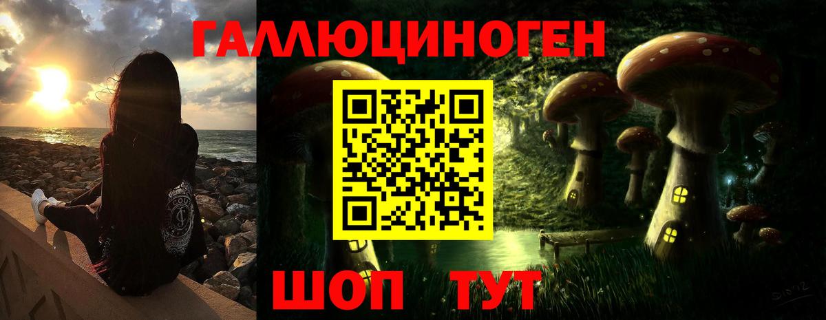 Галлюциногенные грибы прущие грибы Дальнереченск