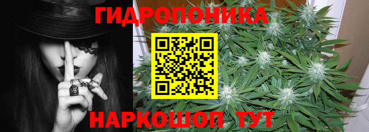 Марихуана план  Шишки марихуана SATIVA & INDICA  Шишки марихуана индика  Канабис планчик  Вход с VPN  Дальнереченск 